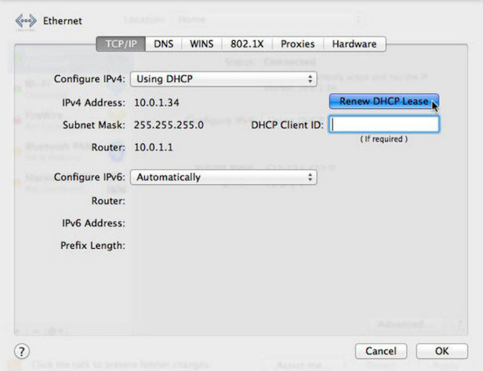 mac ethernet settings