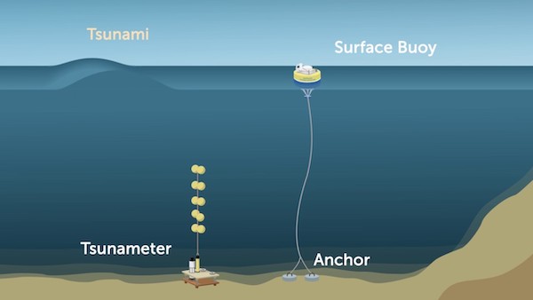 buoy attached to anchor