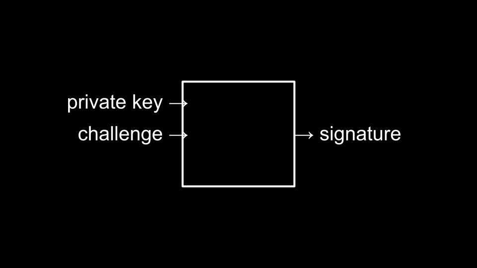 public key and challenge being provided to an alogirthm resulting in a signature