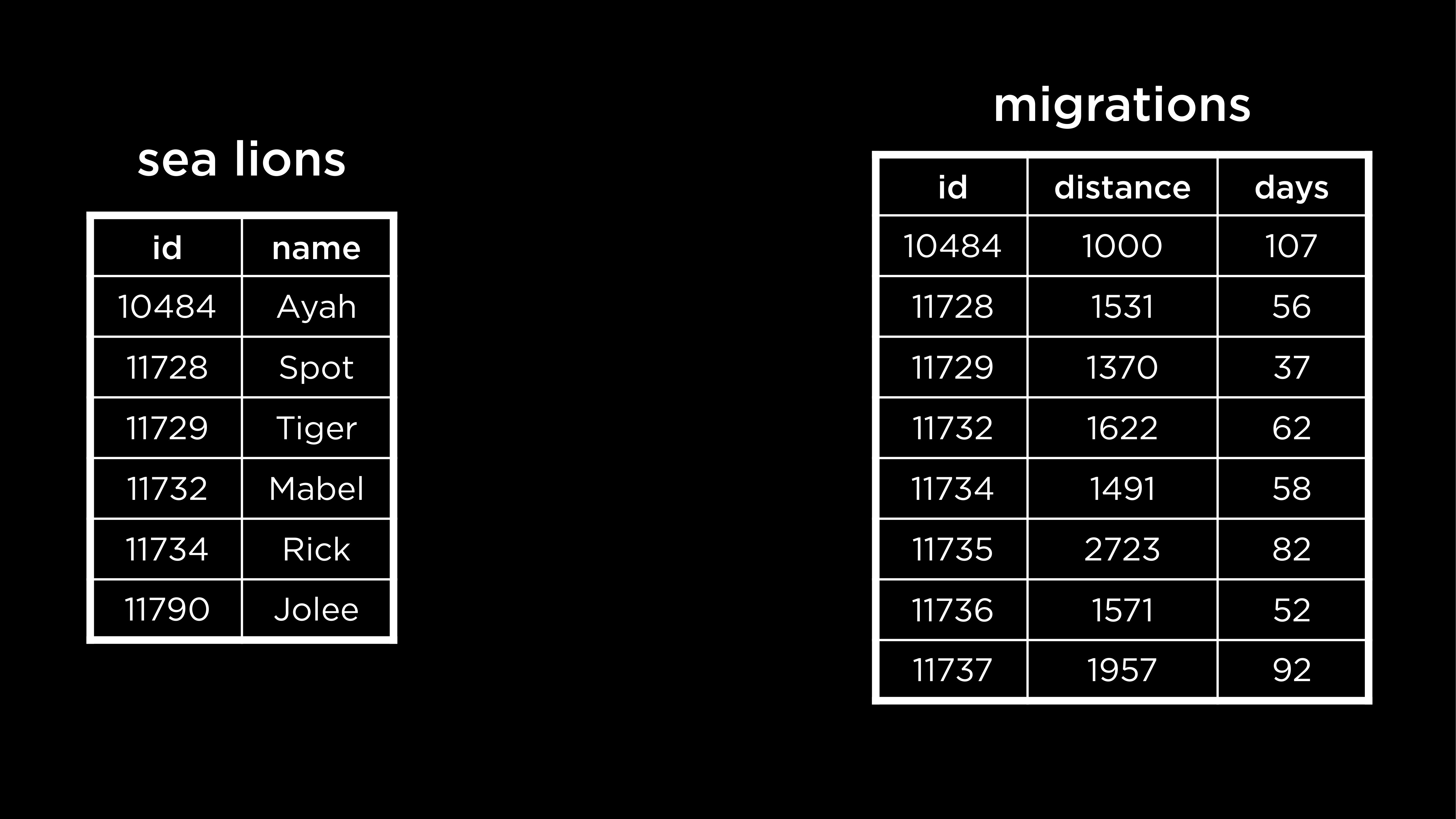 "Sea Lions database with tables: sea lions, migrations"